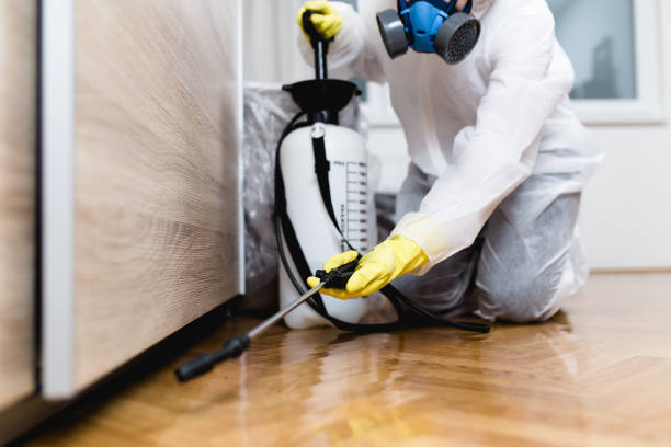 Best Local Pest Control Services  in Brevard, NC