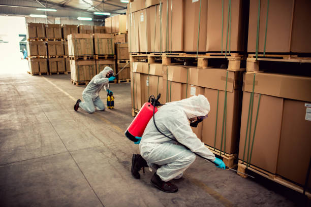 Best Best Pest Control Companies  in Brevard, NC