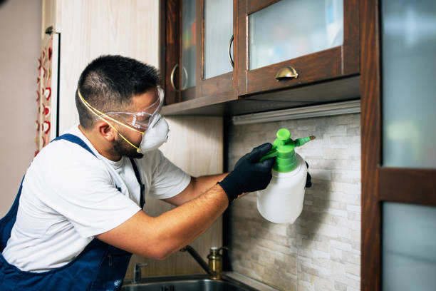 Best Pest Control Near Me in Brevard, NC