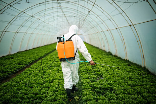 Best Affordable Pest Control Services  in Brevard, NC