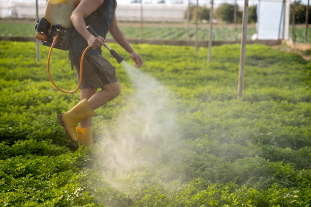 Professional Pest Control in Brevard, NC