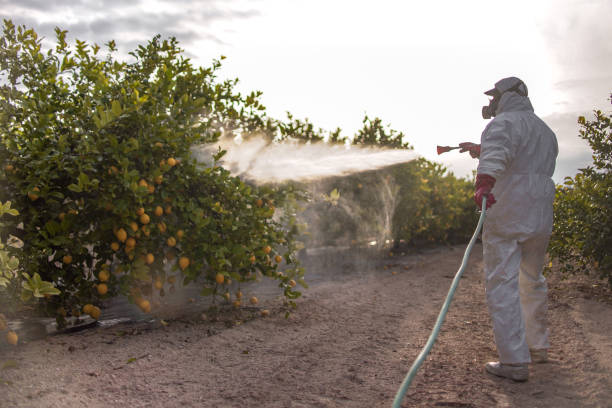 Best Best Pest Control Companies  in Brevard, NC