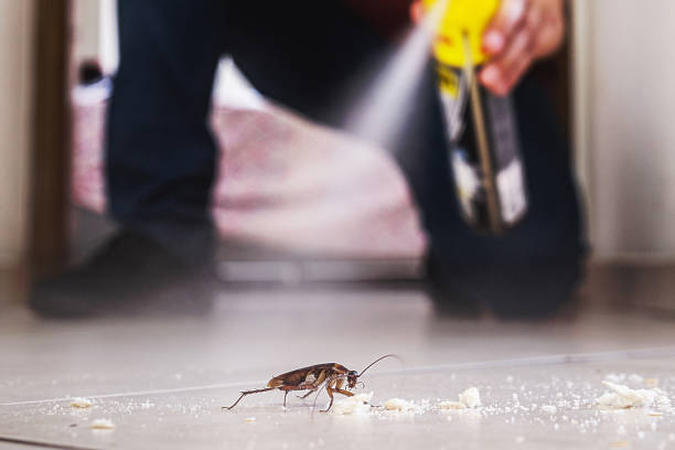 Pest Control Cost in Brevard, NC