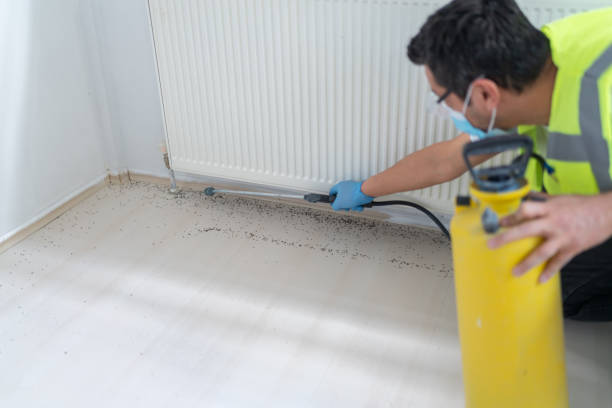 Best Pest Inspection Near Me  in Brevard, NC